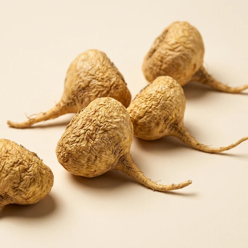 Maca Root (Lepidium meyenii)